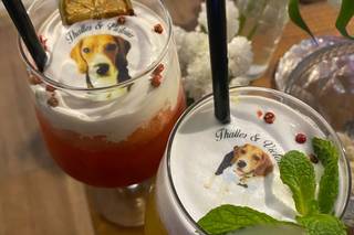 Soph's Open Bar - 8