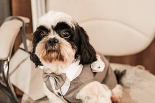 Ohara Fotografia - 17