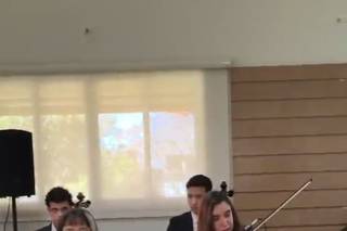 Essência Musical - 5