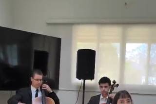 Essência Musical - 6