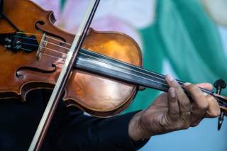 Fernando Gomes - Violinista - 3