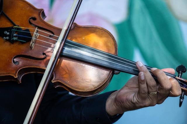 Fernando Gomes - Violinista - 2