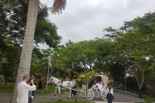 Carruagens do Vale - 7