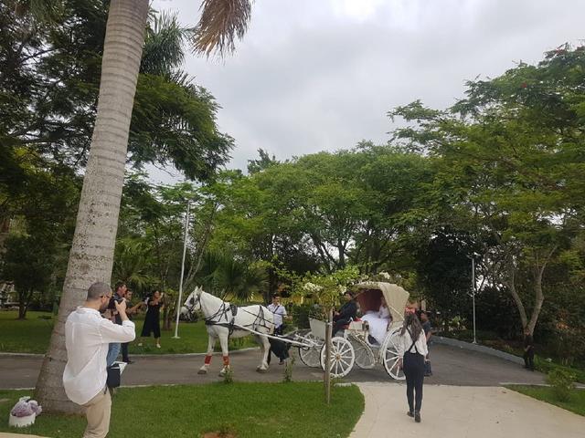 Carruagens do Vale - 4