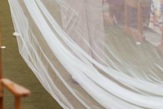 Ana Carvalho Assessoria e Cerimonial - 5