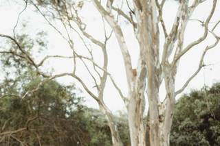 Thiago Farias - Wedding Photography - 10