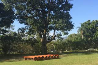Fazenda e Haras São Bento - 9