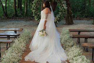 Império da Mata - 37