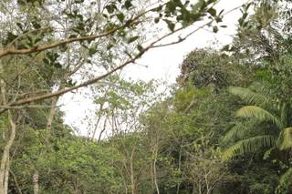 Xangrila Resort - 8
