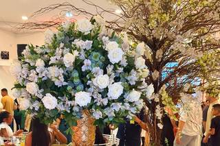 Espaço Orquídea - 7