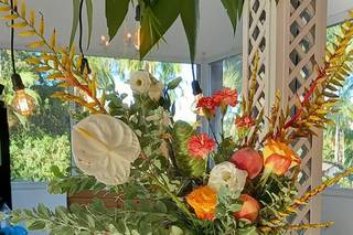 Berenice Lassalle Decor - 10