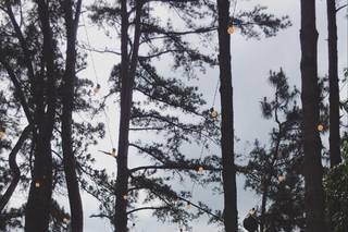 JR Foto e Filme - 6