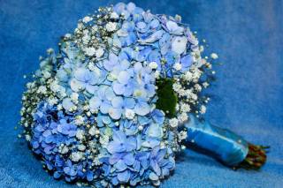 Mania Flores - 16