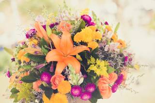 Ateliê na Praia Fotografia - 25