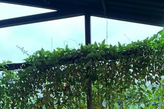 Casa Flamboyant Eventos - 16