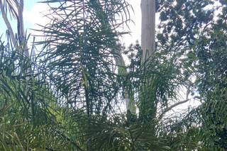 Chácara Laços Eternos - 7