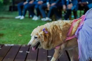 Pérgola Imperial Eventos - 13