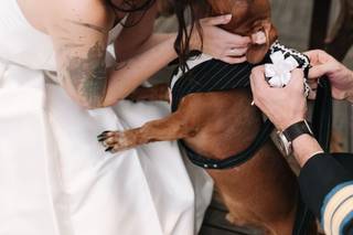 Leve Sim - Monique Cardone - 6