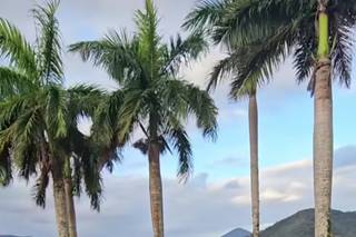 Casa Paraty - 11