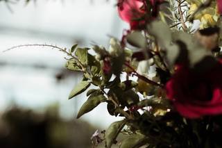 Meire Carvalho Eventos - 8