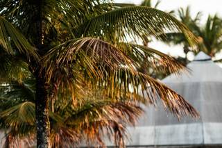 Ohara Fotografia - 27