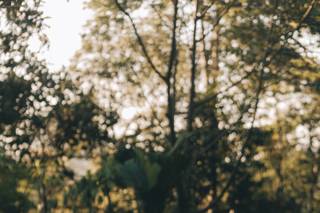 La Floresta - 5