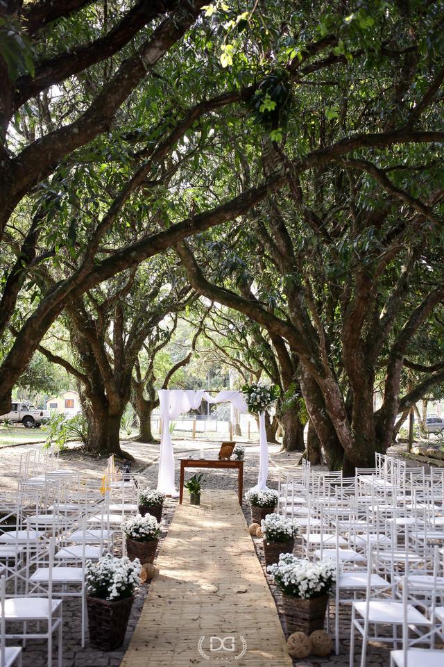 Minha Predileta Decoração & Eventos - 2