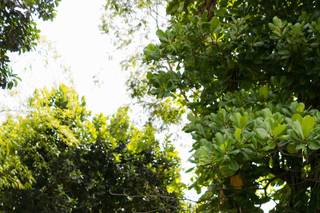 Atelier Gisa Fernandes - 8