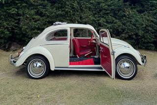 LoveBug - 6