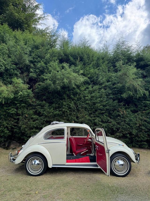 LoveBug - 2