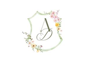 Studio Farfalla - 3