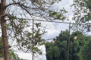 Filo Cerimonial - 8