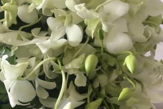 Gallios Arte Floral - 7