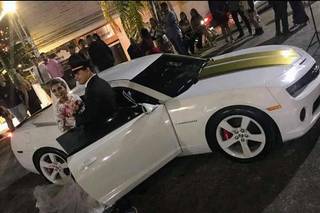 Requinte Carros e Carruagens - 6