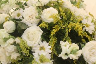 Thiago Palmeri Eventos - 12