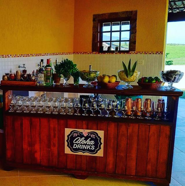ASV Barman - 2