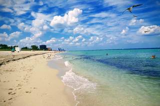 Logitravel - 3