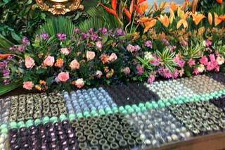 Danni Ferreira Decor - 5