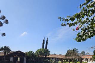 Haras Fortaleza - 9