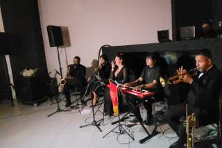 Banda BSH - 10