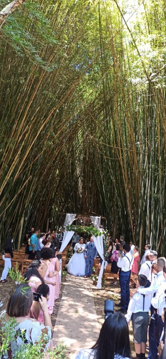 In Concert - Músicas para Casamento - 2