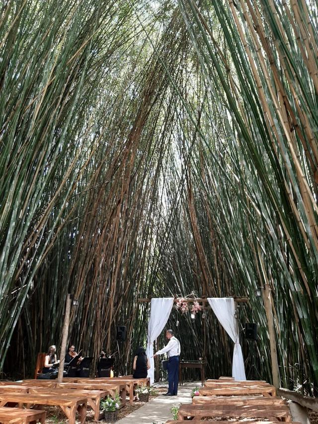 In Concert - Músicas para Casamento - 3