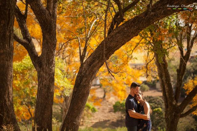 Rodrigo de Oliveira Fotografia - 2
