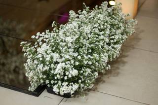 Floricultura Mont Alverne - 9