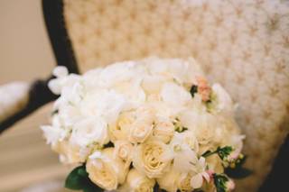 Floriculturas Roseira de Ouro - 8