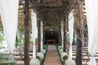 Orquídea Formosa - 17