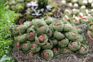 Ana Gavinho Assessoria e Cerimonial - 7