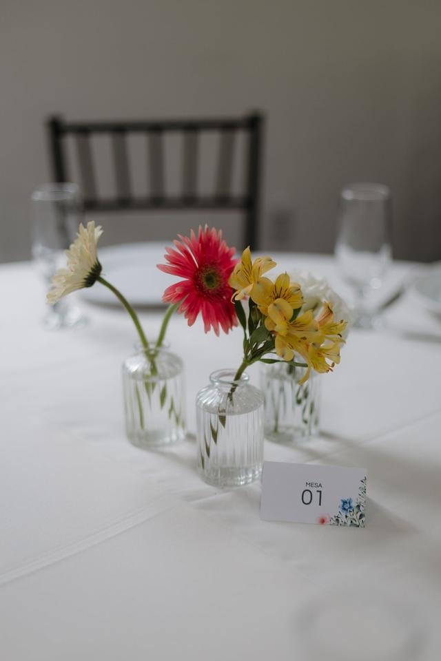 Vanessa Morais Eventos - 2