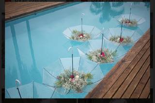 Sítio Sunshine - 14