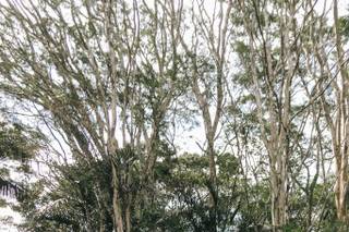 Cristiano Massoqueti Fotografia - 31